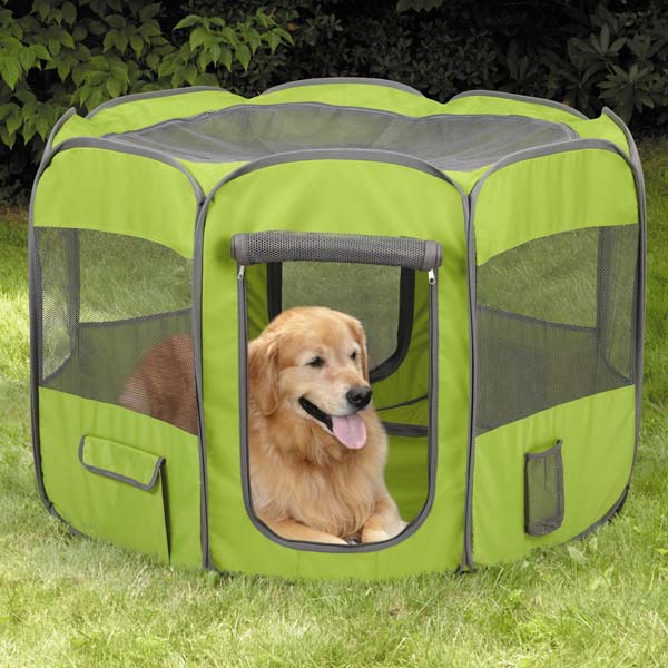 Le tipologie di cucce per cani 2 Le tipologie di cucce per cani 1